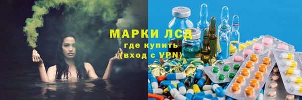 PSILOCYBIN Абаза