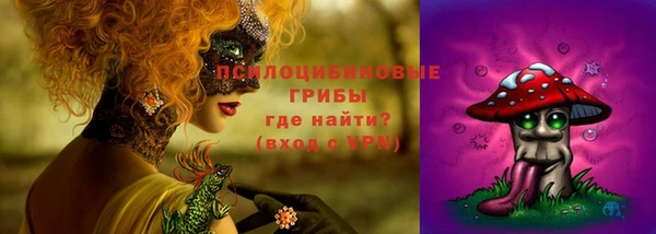 дживик Нижневартовск